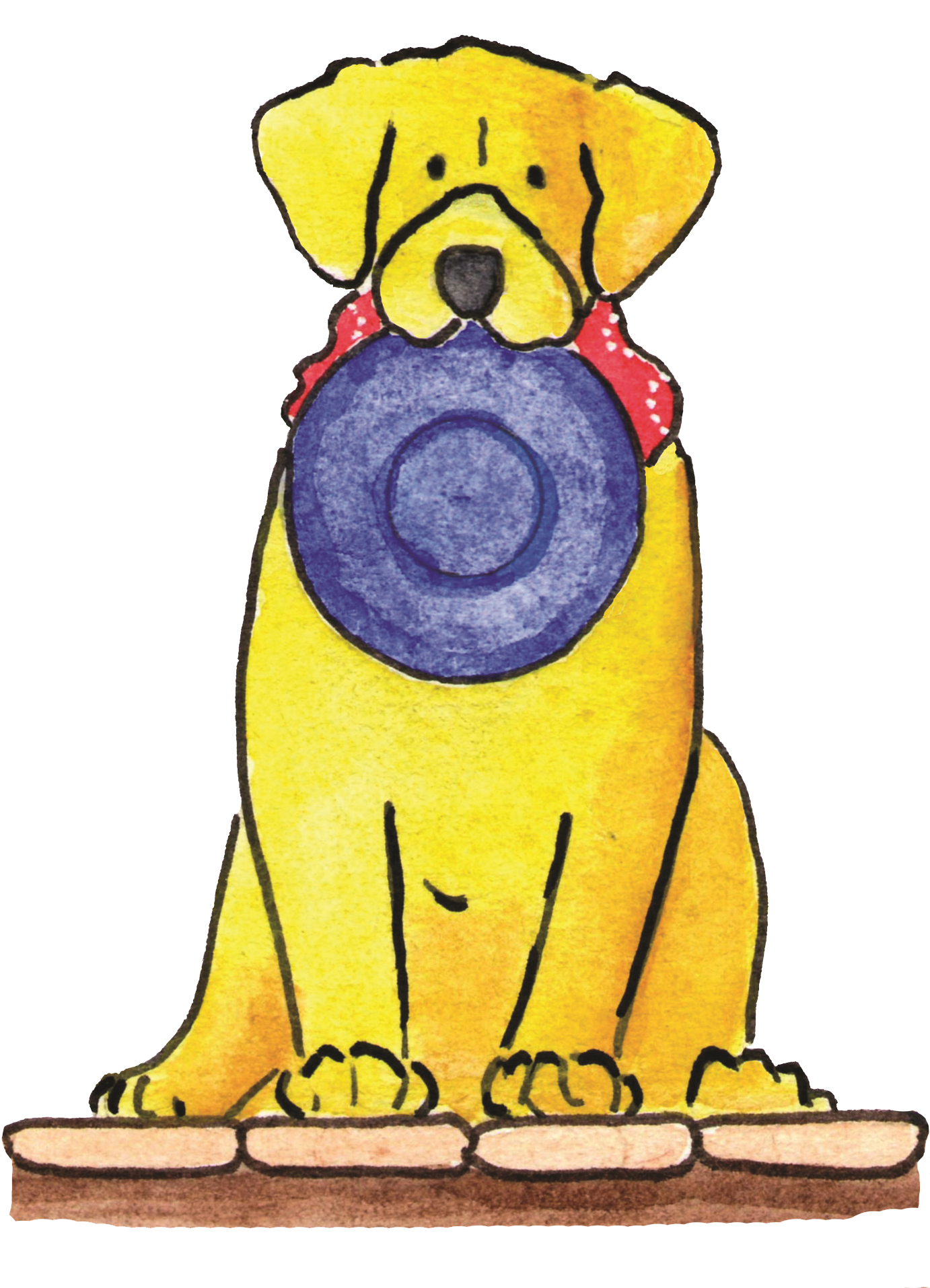Wyatt transparent 3