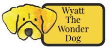 Wyatt The Wonder Dog